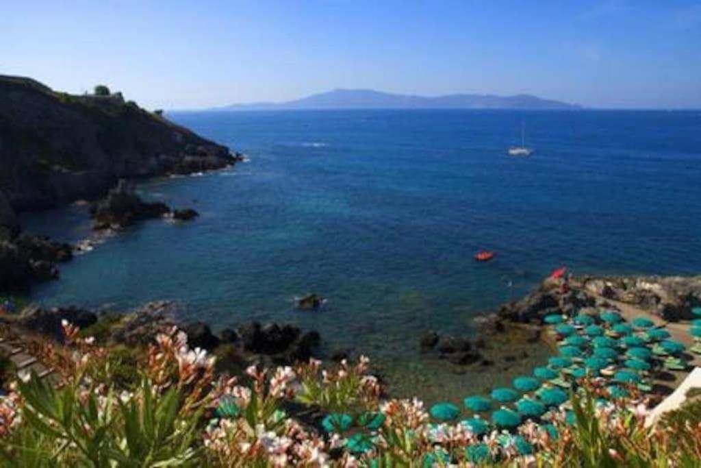 Near The Sea Big Panoramic House 2 Terraces In Lovely Village Montiano  Esterno foto