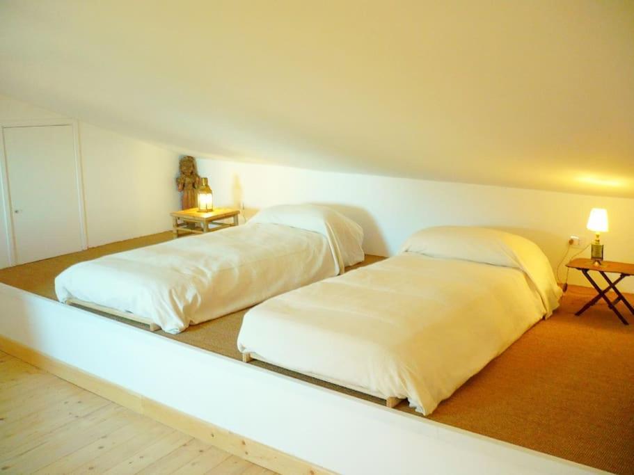 Near The Sea Big Panoramic House 2 Terraces In Lovely Village Montiano  Esterno foto